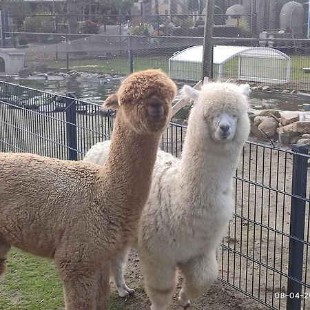 De Dierenweiden Goedereede Buitenkant foto