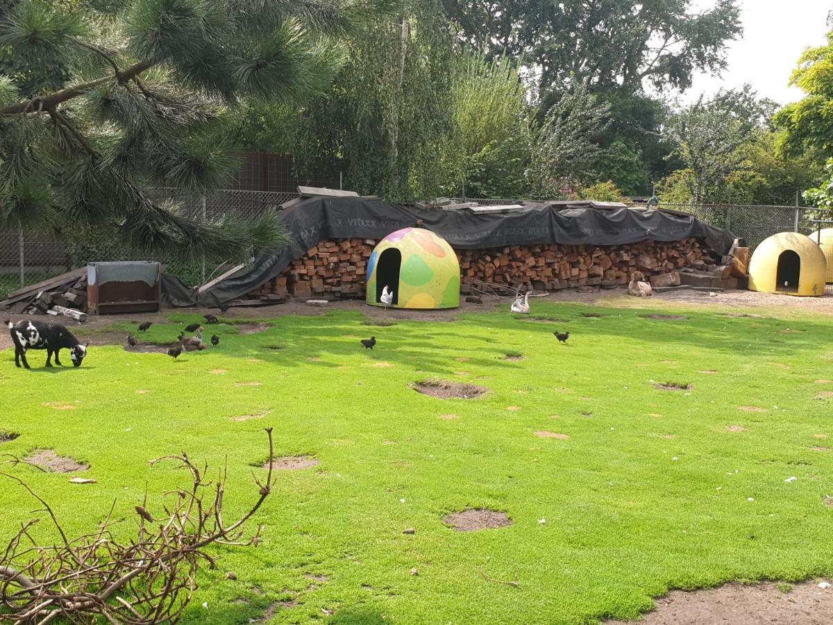 De Dierenweiden Goedereede Buitenkant foto