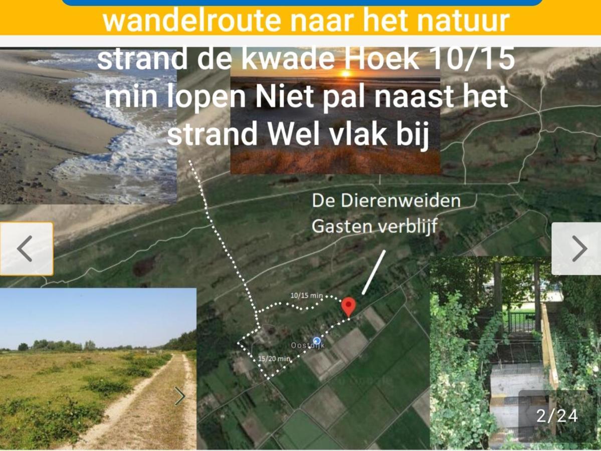 De Dierenweiden Goedereede Buitenkant foto